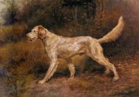 Osthaus, Edmund Henry - Commissioner, A Champion English Setter